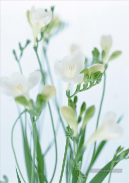 photos photo Tableau Peinture - Fleurs blanches Peinture de Photos à Art